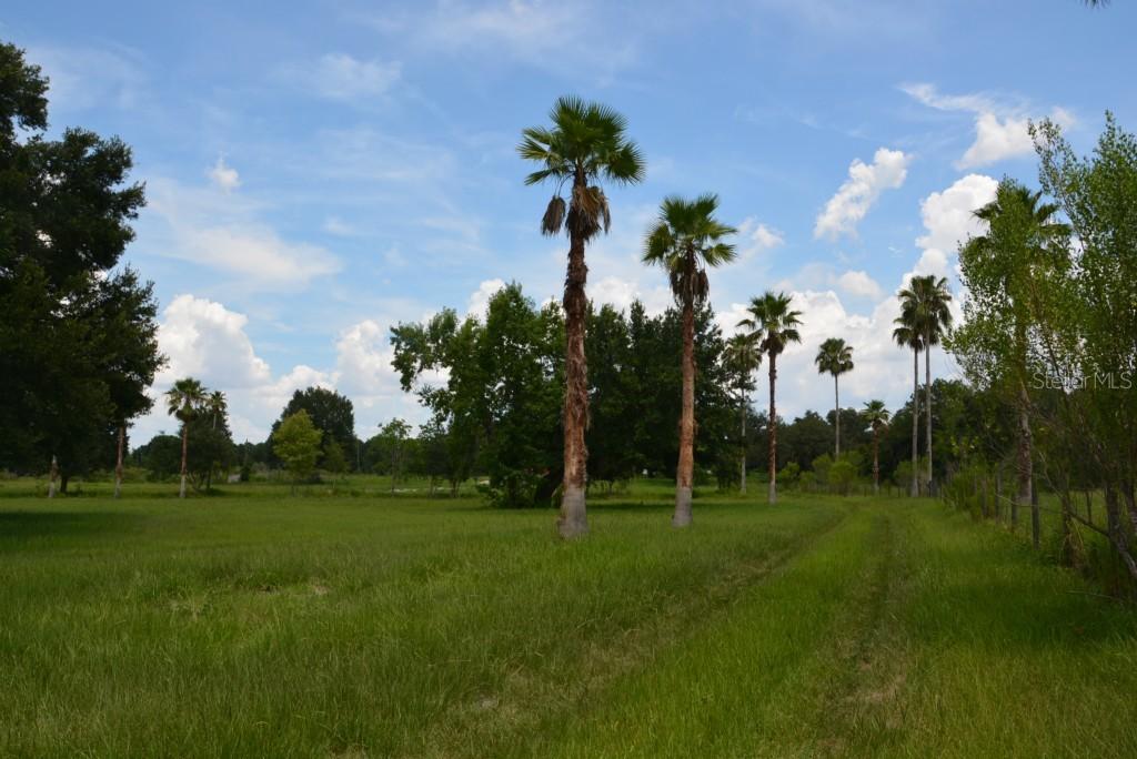 [Address Hidden by Seller], Groveland, FL 34736