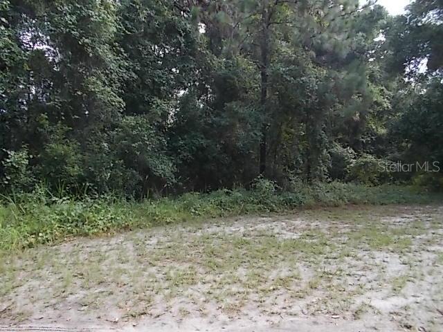 Colby Pl., Sorrento, FL 32776