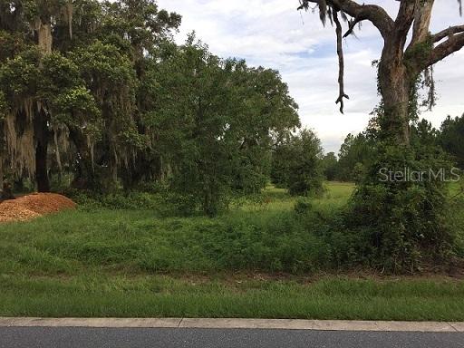 430 Long And Winding Rd., Groveland, FL 34737