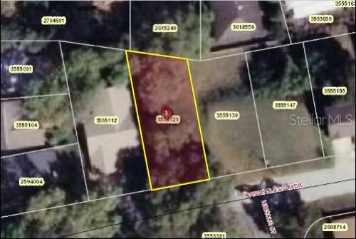 Orange Blossom Dr., Eustis, FL 32726