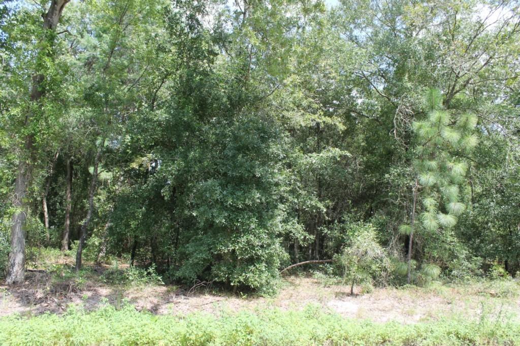 97th Ave., Summerfield, FL 34491