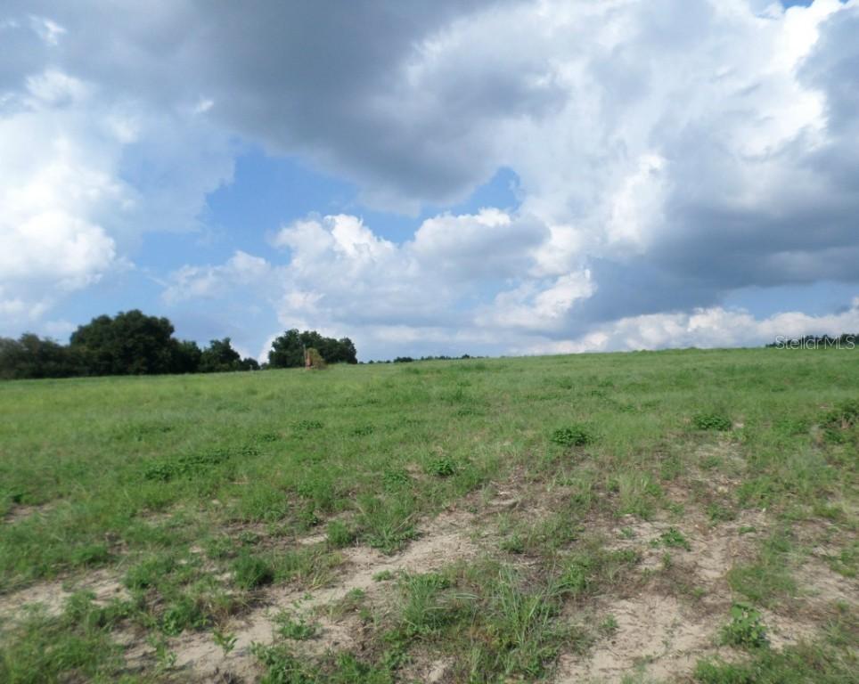 Marsh View Ct., Clermont, FL 34711
