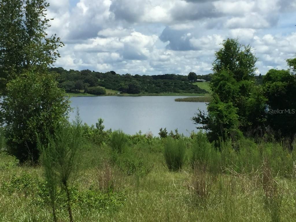 202 N Pine Ave., Umatilla, FL 32784