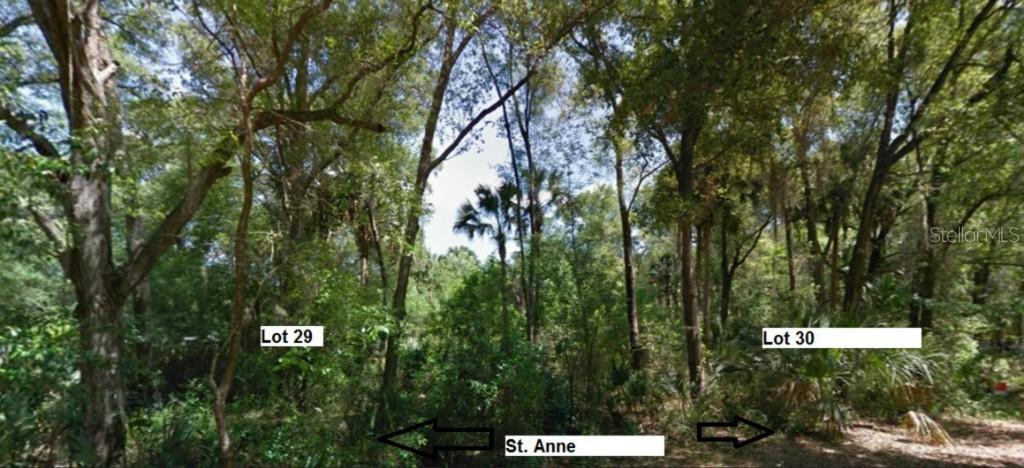 Westward Ho Ave., Sorrento, FL 32776