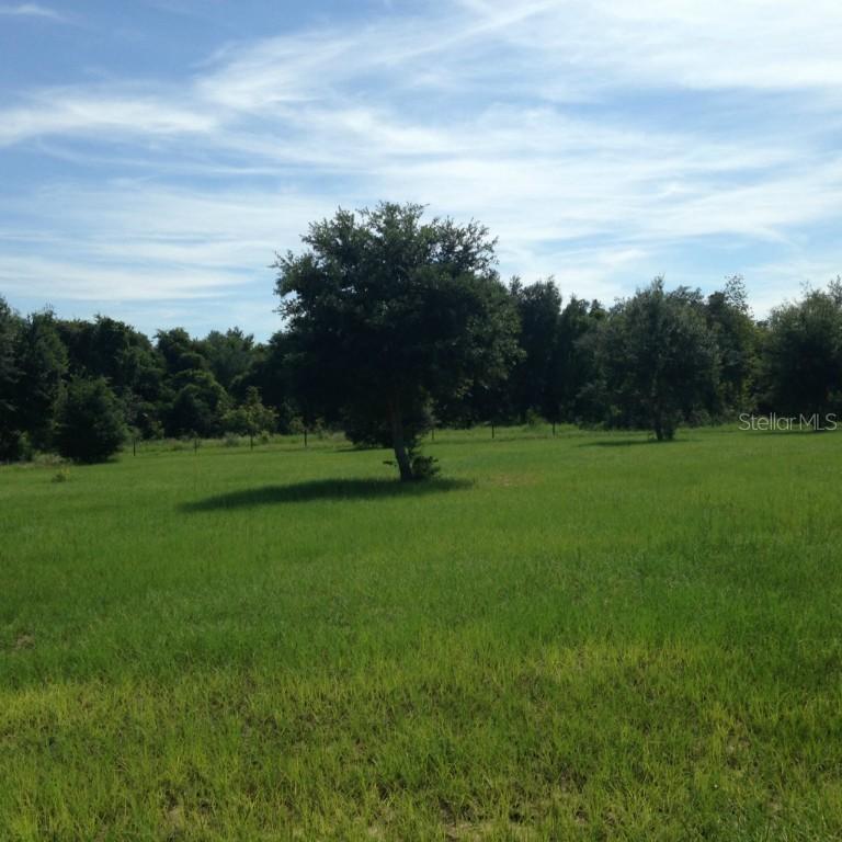 18203 Great Blue Heron Dr., Groveland, FL 34736