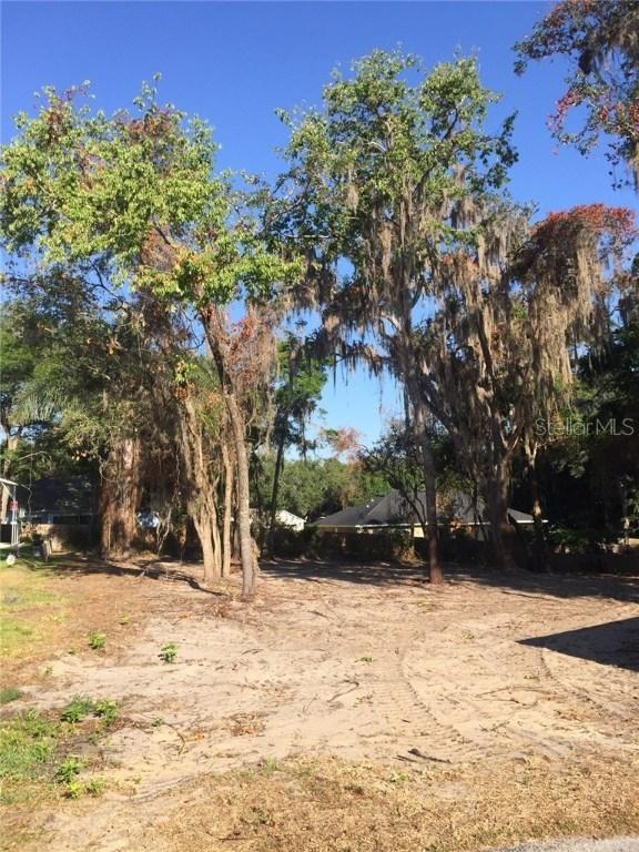 Lot 17 Morrison Street, Groveland, FL 34736