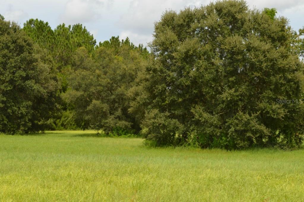 19415 Villa City Rd., Groveland, FL 34736