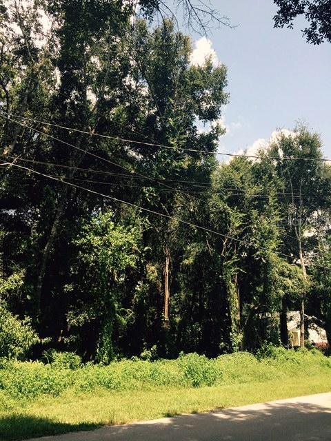 Shawnee St., Sorrento, FL 32776