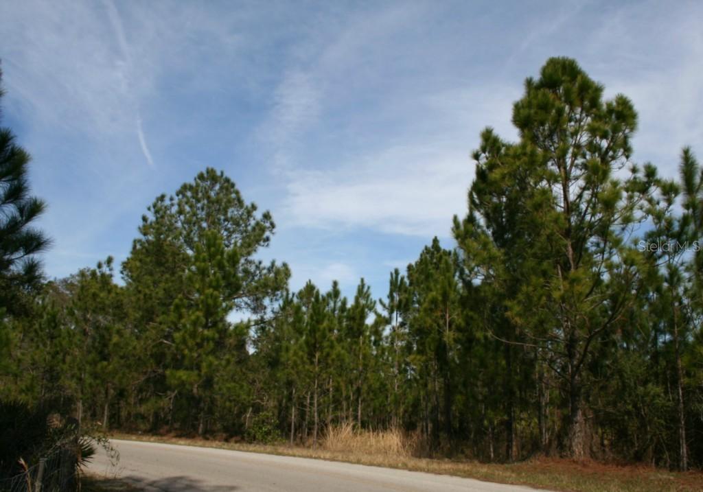 Oil Well Rd., Groveland, FL 34736