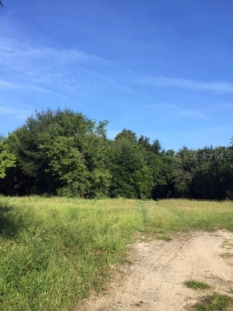 Bloxam Ave., Clermont, FL 34711