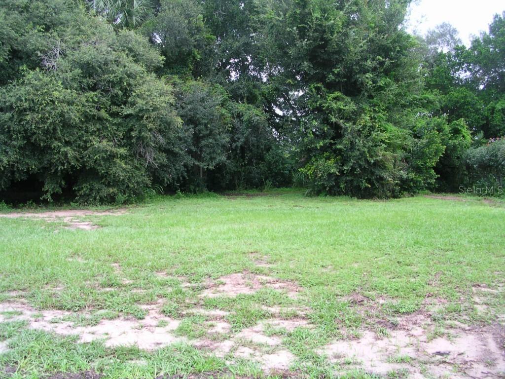 Michelle Ct., Tavares, FL 32778