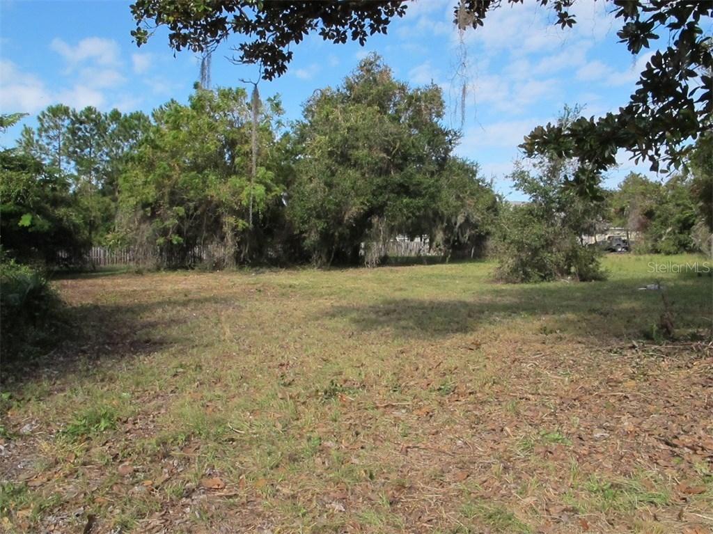 Lot 12 Lake Harris Estates, Leesburg, FL 34748
