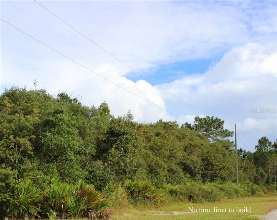 Viola Way, Eustis, FL 32736