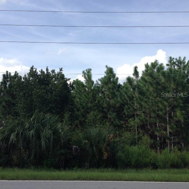 County Road 44a, Eustis, FL 32736
