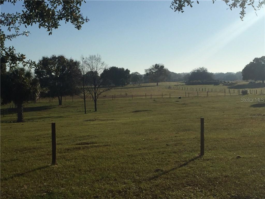 Orange Ave., Eustis, FL 32726