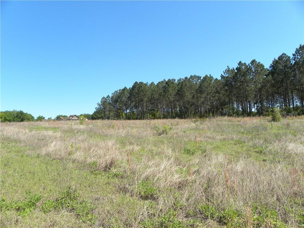 Sonoma Ridge Ln., Clermont, FL 34715