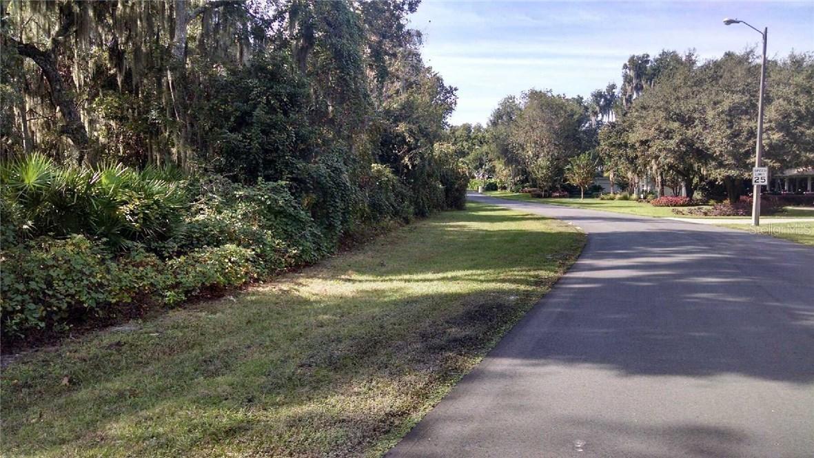 Chestnut Ln., Tavares, FL 32778