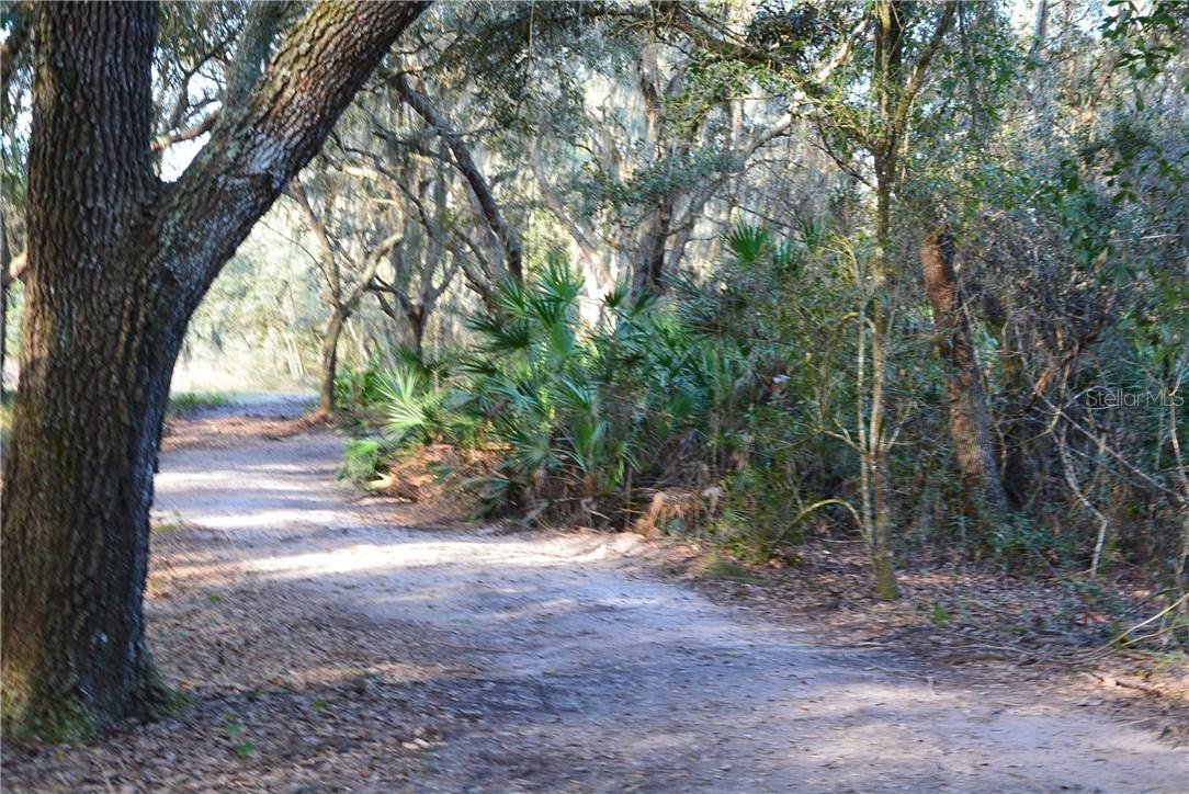 Mascotte Empire Rd., Groveland, FL 34736