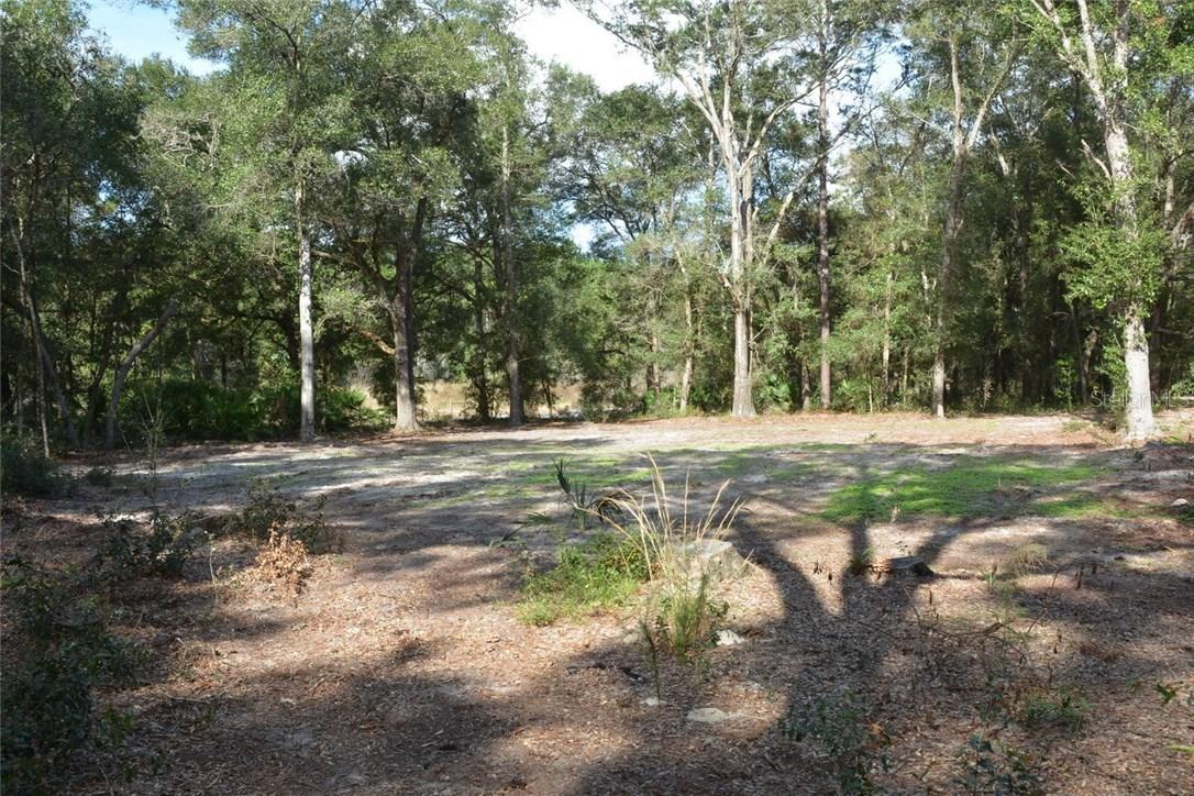 Fenimore St., Sorrento, FL 32776