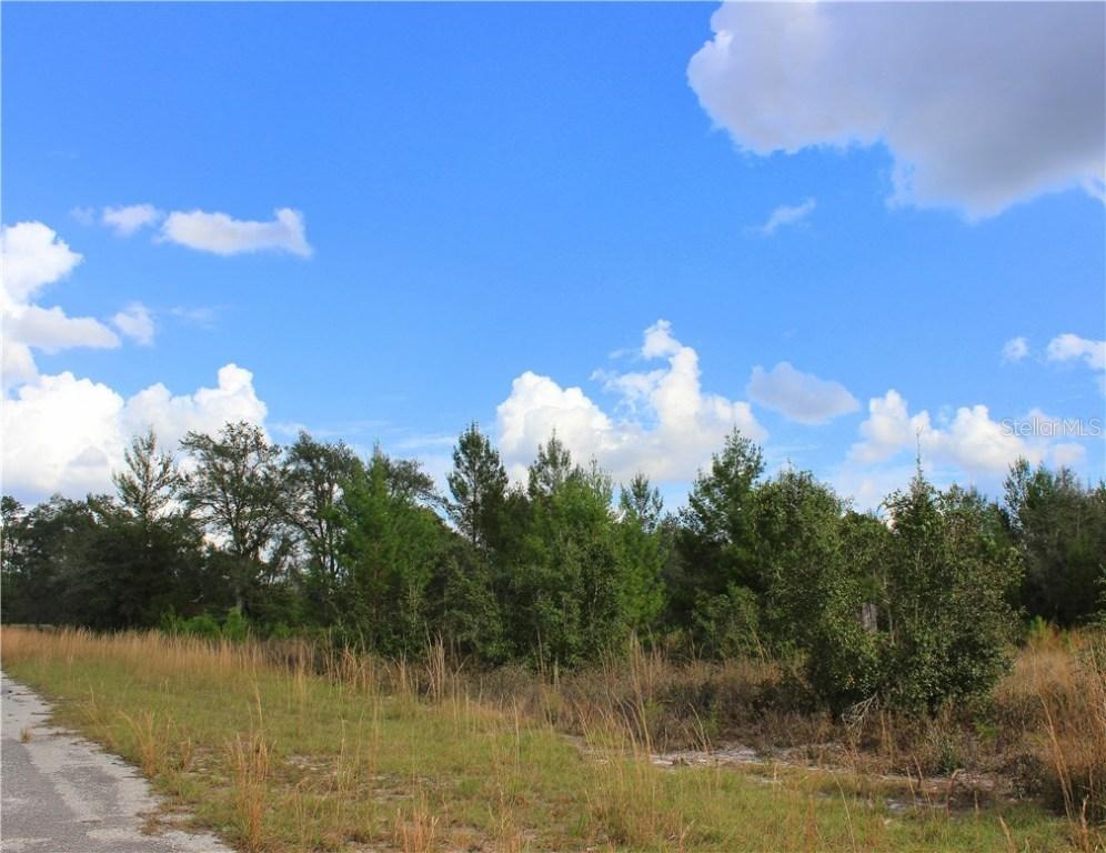 S. Sequoia Way, Eustis, FL 32736