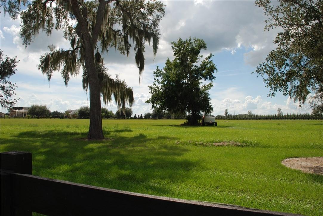 Sloewood Dr., Mount Dora, FL 32757