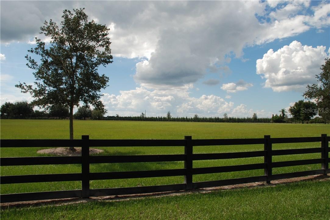 Sloewood Dr., Mount Dora, FL 32757