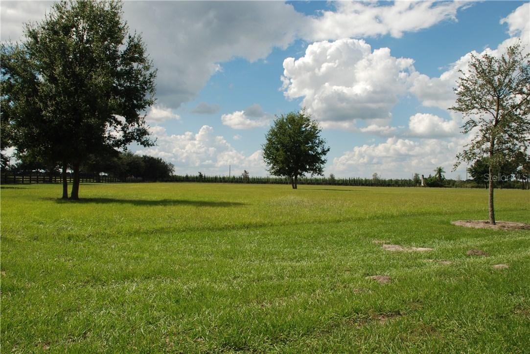 Sloewood Dr., Mount Dora, FL 32757