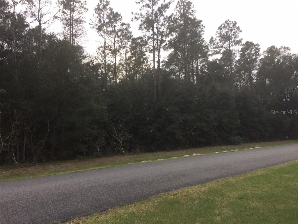 10594 104th Cir., Oxford, FL 34484