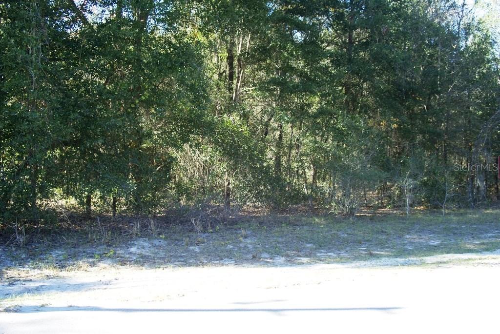 Pruitt St., Leesburg, FL 34748