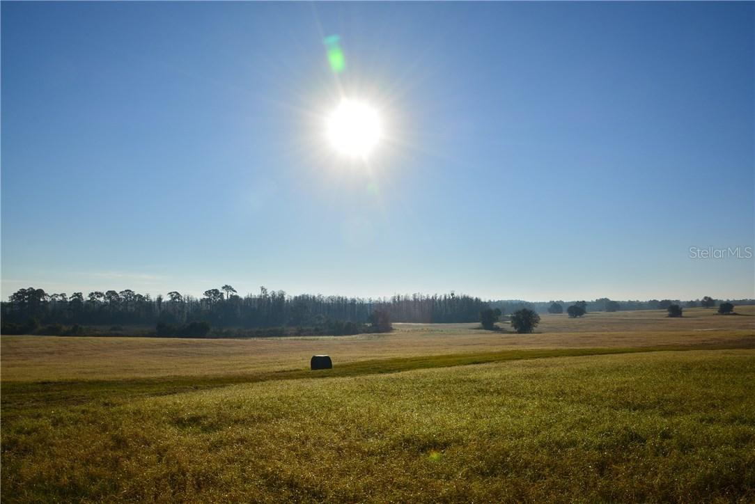 Sharon Rd., Groveland, FL 34736