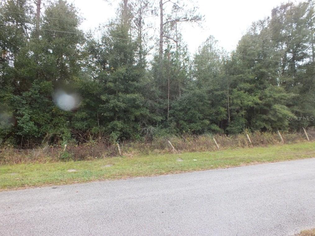 [Address Hidden by Seller], Oxford, FL 34484