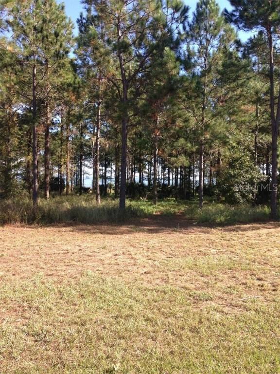 15529 Pendio Dr., Montverde, FL 34756