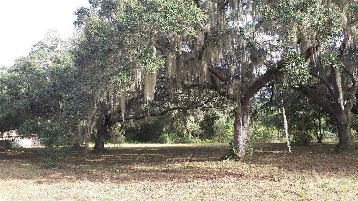 SE 146 Pl., Summerfield, FL 34491