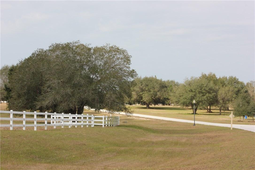 LOT 20 Club Drive, Groveland, FL 34736
