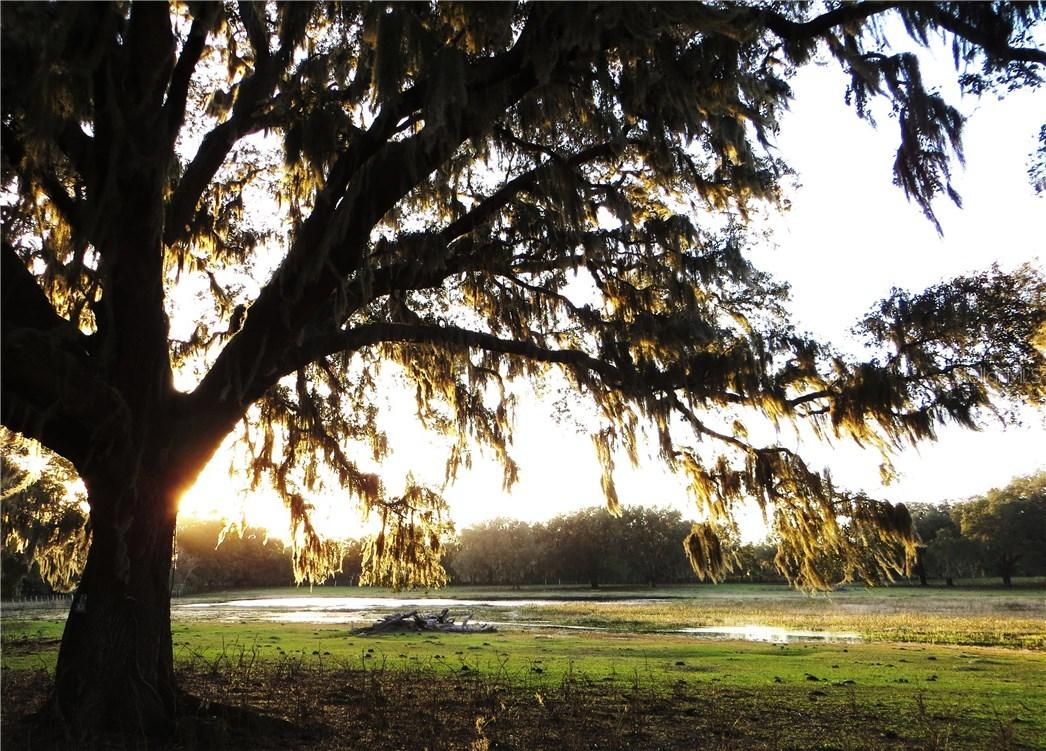 7181 SE 173rd Arlington Loop, The Villages, FL 32162