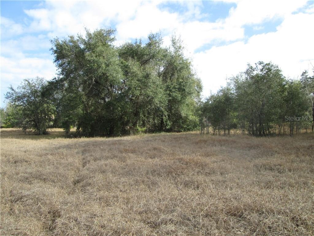 County Road 455, Montverde, FL 34756