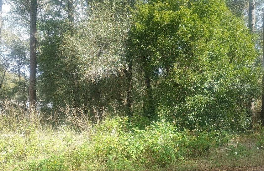Thornhill Dr., Sorrento, FL 32776