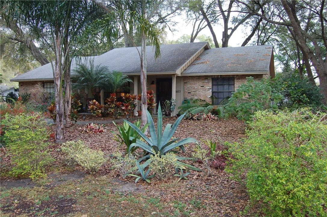 3977 Lake Forest St., Mount Dora, FL 32757