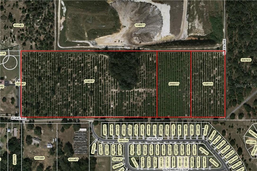 Robie Avenue, Mount Dora, FL 32757