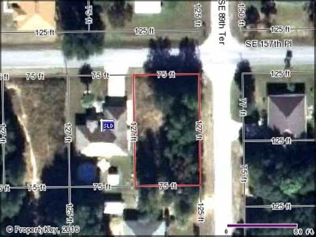 SE 157th Pl., Summerfield, FL 34491
