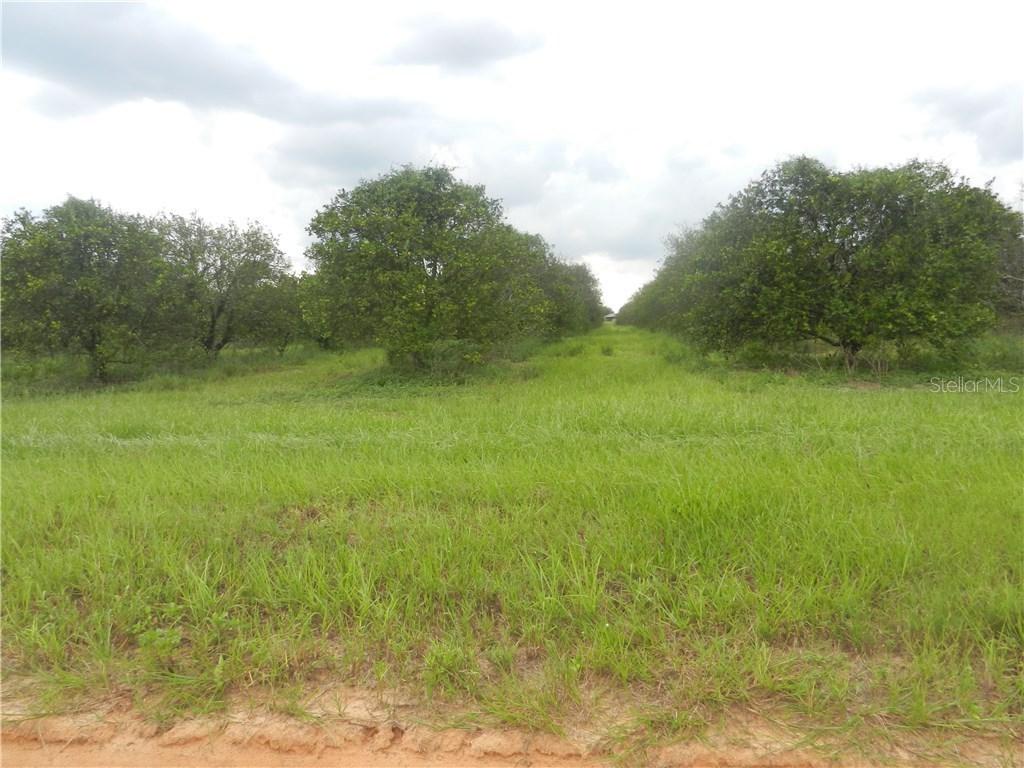 Lake Nellie Road, Clermont, FL 34714