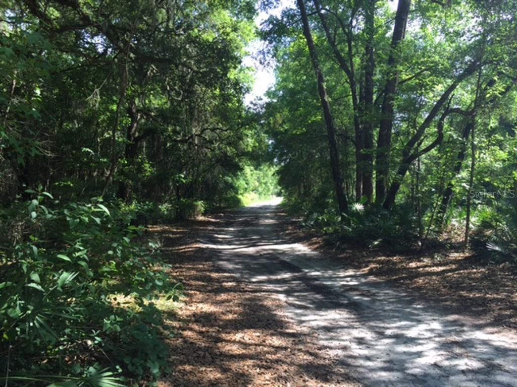 Ne 130th Avenue, Oxford, FL 34484