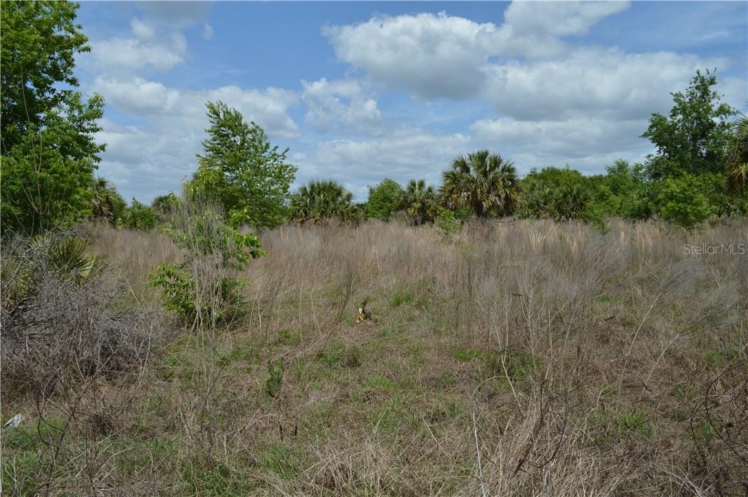 N County Road 44a, Umatilla, FL 32784