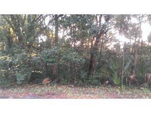 Walton Heath Ave., Sorrento, FL 32776