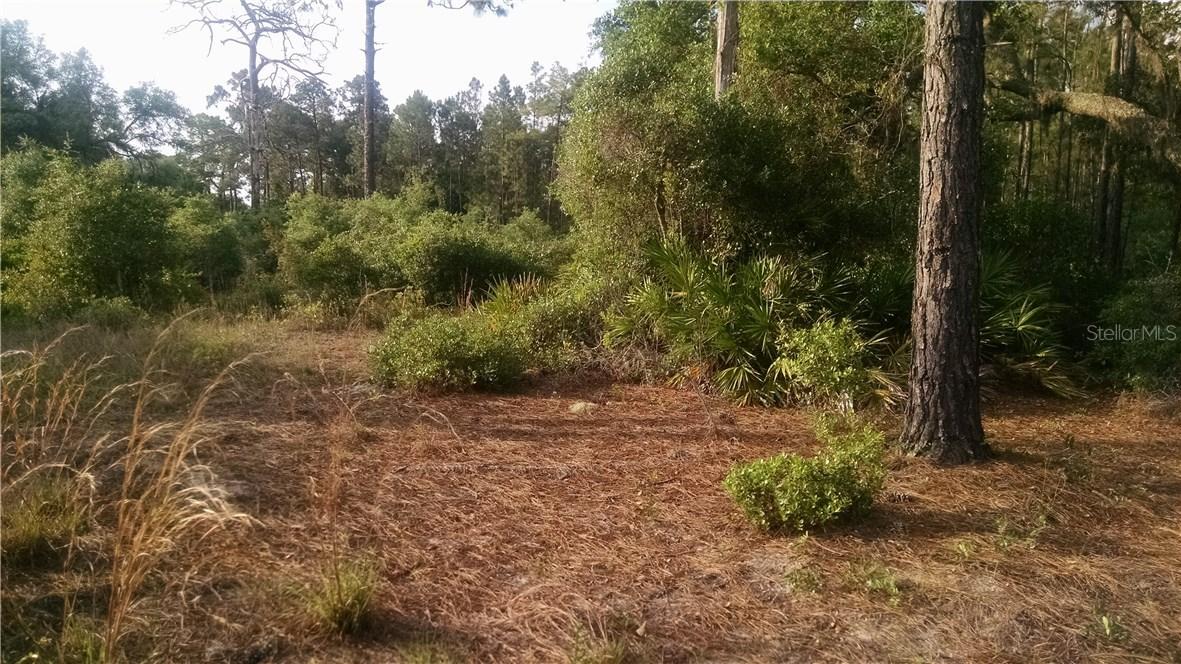 [Address Unavailable], Groveland, FL 34736