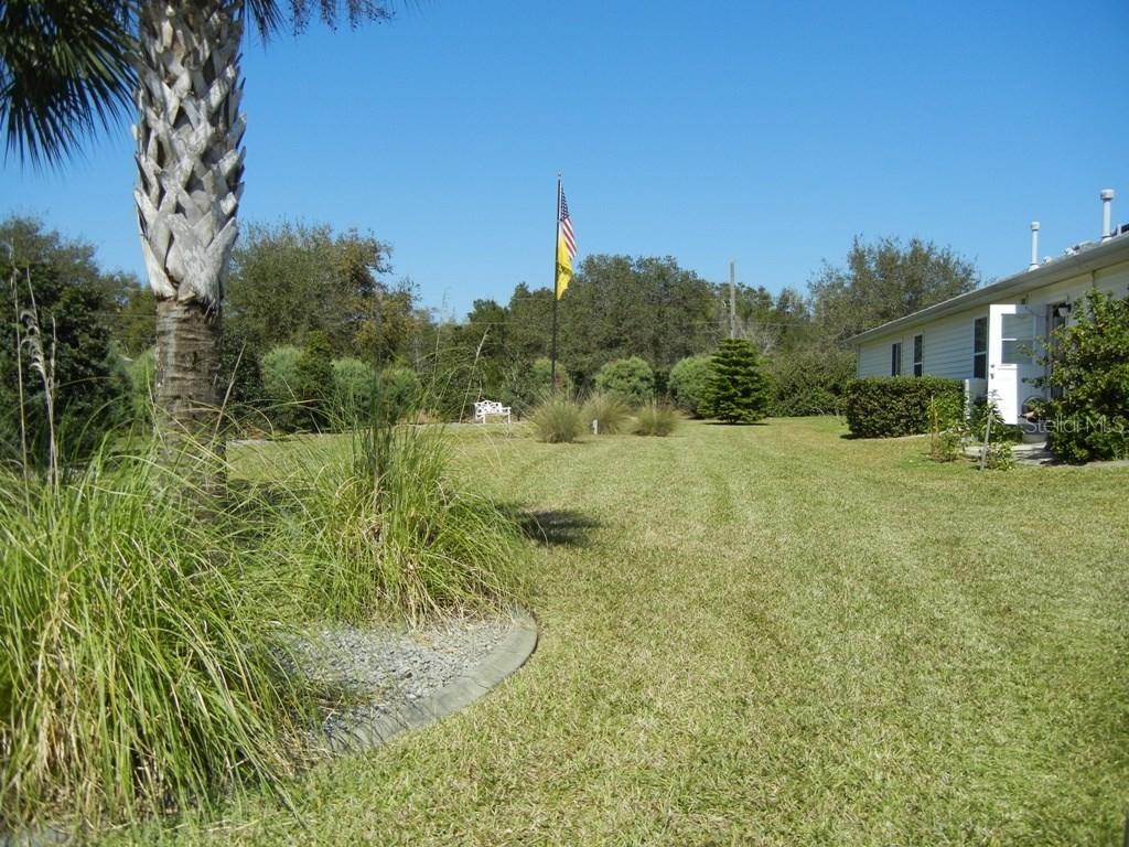 Rainbow Trout Rd., Tavares, FL 32778