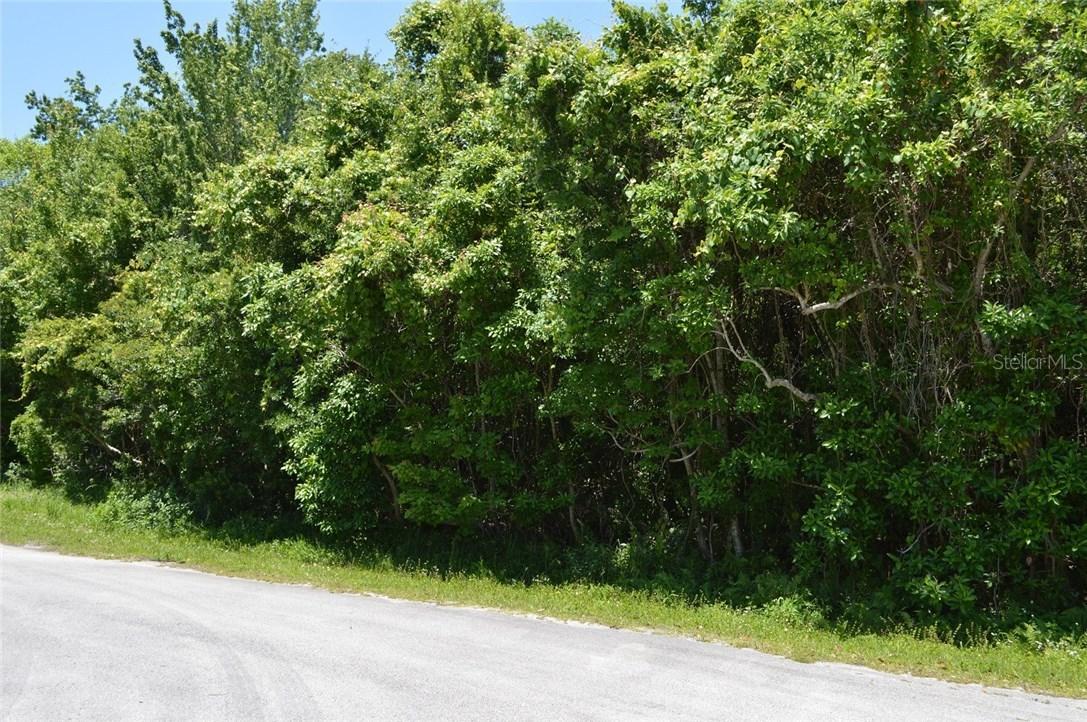 Mikler Rd., Oviedo, FL 32765