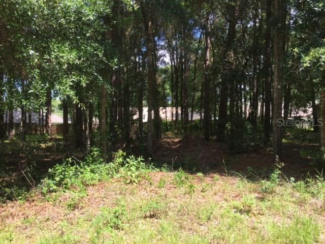 Biltmore St., Sorrento, FL 32776