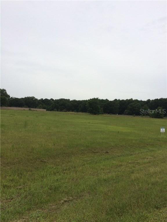 Cr 121d, Wildwood, FL 34785