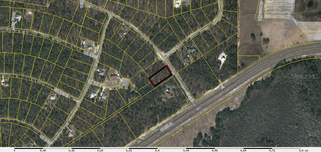 County Rd 243 Oak Hill, Wildwood, FL 34785